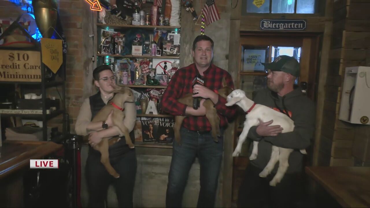 Expect racing goats and tasty beer at the annual NuLu Bock & Wurst Fest